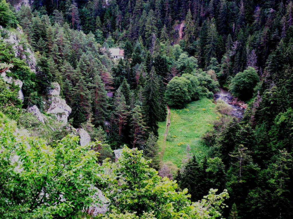 Villa Chata Zlatka Spišské Tomášovce Exterior foto